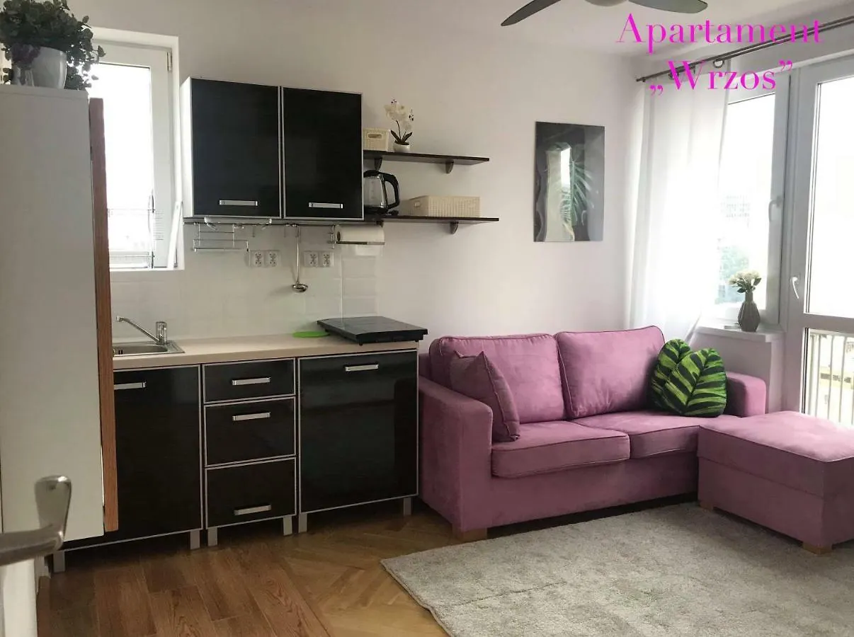 Deluxe Pańska Apartments Warszawa Polska